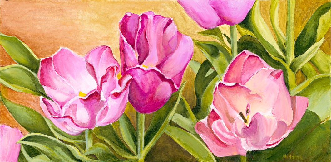 Pink Tulips